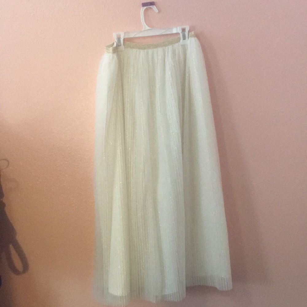 Long sparkly skirt